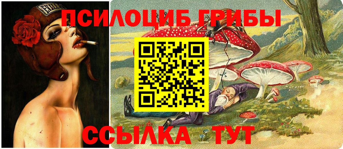 Обь  Галлюциногенные грибы Cubensis  Вход с VPN 
